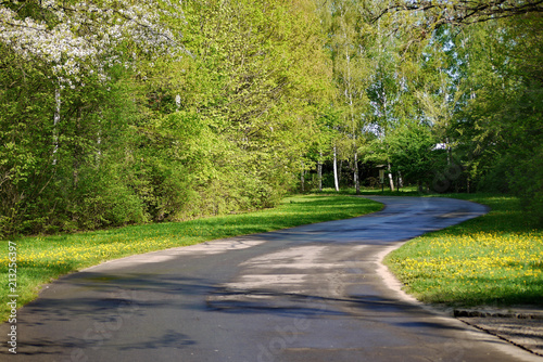 A winding asphalt road after the rain on a summer day. With the yellow-green carpet growing on the roadside with flowers and grass.