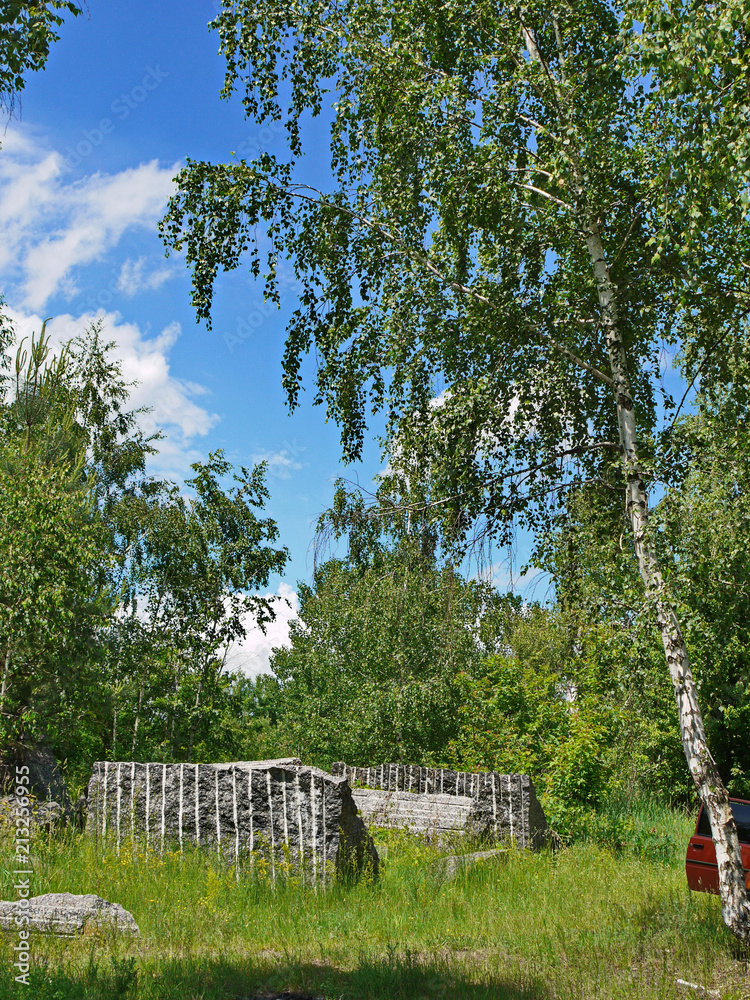 Fototapeta premium Stone ruins in the middle of a green forest glade with tall young birches