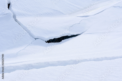 Things Found in the Snow and Ice