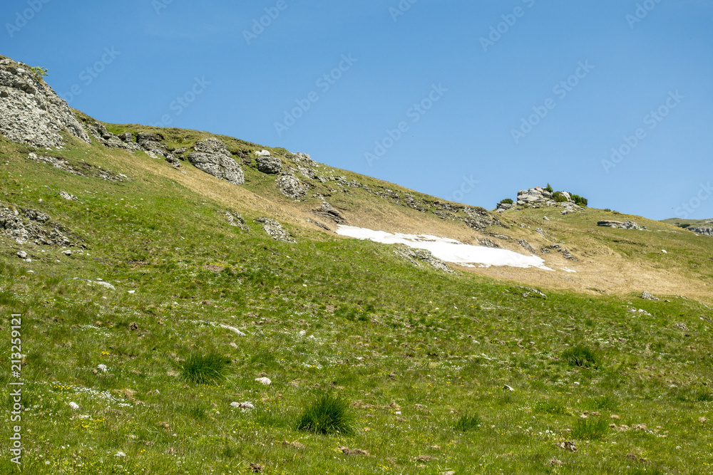 Summer view with snow in Bucegi Mountains, Bucegi national park, sunny day, clear sky with few clouds, beautiful green grass