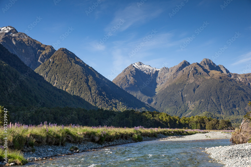 Crystal clear pure water stream, foxglove palnts and a mountain range in New Zealand