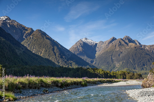 Crystal clear pure water stream  foxglove palnts and a mountain range in New Zealand