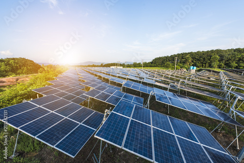 Solar panels (solar cell) in solar farm with sun lighting to create the clean electric power