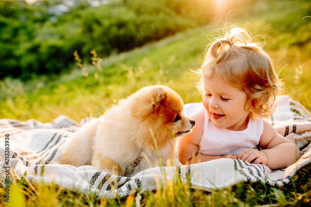 Little girl and pets. The girl and a dog lying on a blanket on a green park. Sunset time. Pedigree dogs Spitz. Funny animals. Outdoor picnic. Little girl and pets. The girl and a dog lying on a blanket on a green park. Sunset time. Pedigree dogs Spitz. Funny animals. Outdoor picnic.