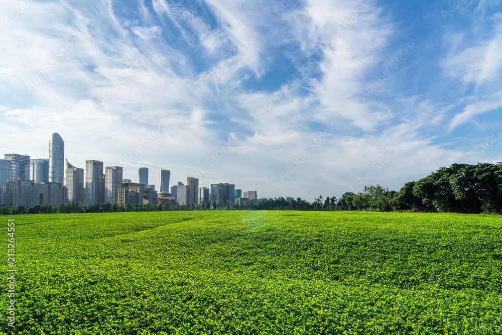 green field under sky green field under sky
