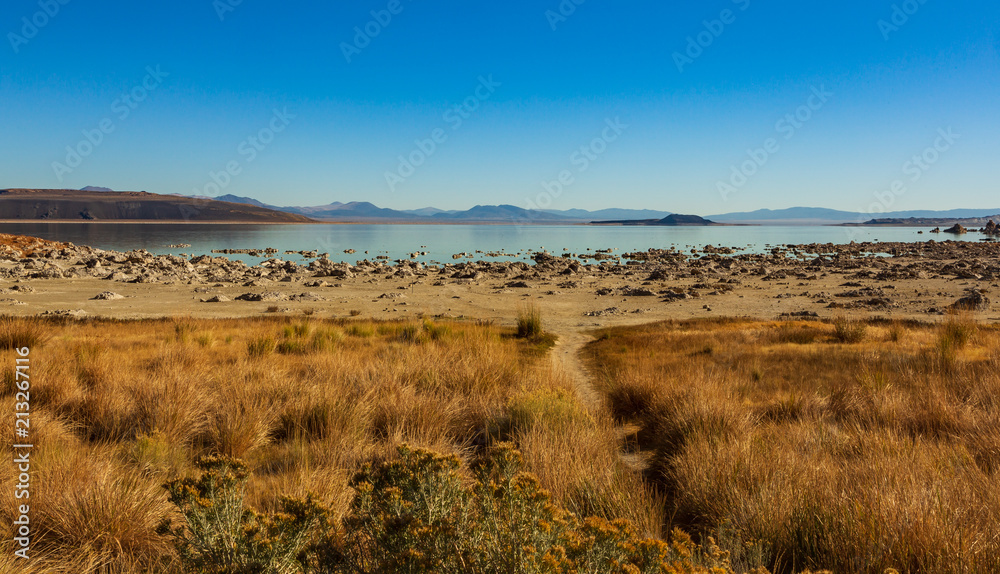 Pathway to Mono Lake