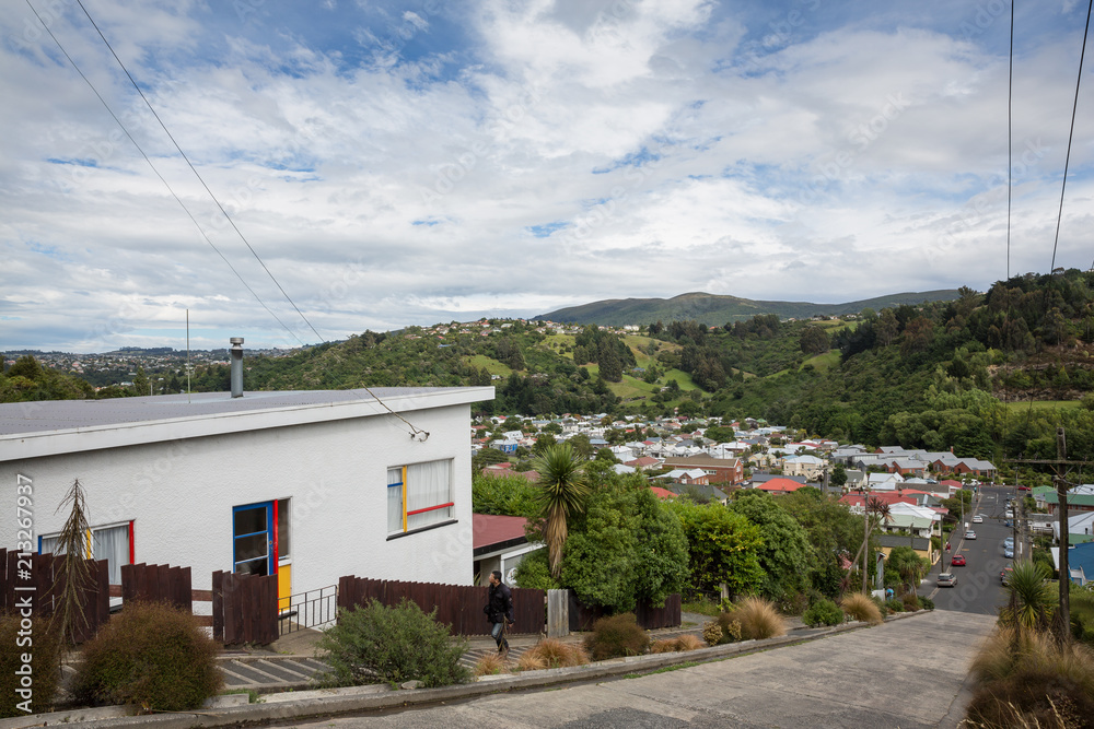 Dunedin New Zealand December 30th 2014 : Looking down Baldwin street in Dunedin, classified as the worlds steepest street