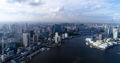 tokyo bay in aerial view © Fly_and_Dive