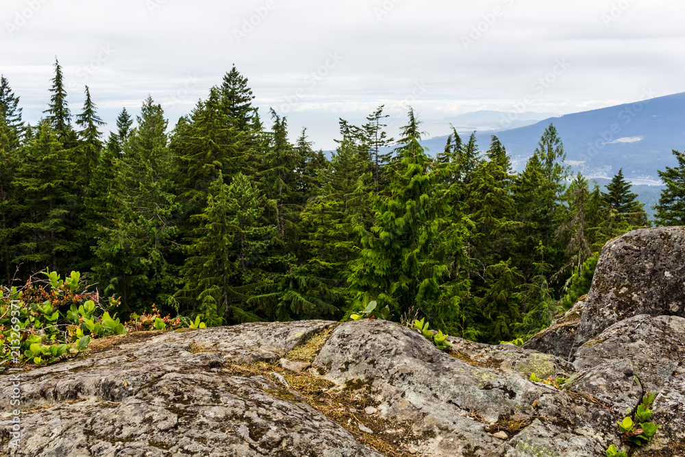 View from Mount Gardner, Bowen Island, BC, Canada. View from Mount Gardner, Bowen Island, BC, Canada.