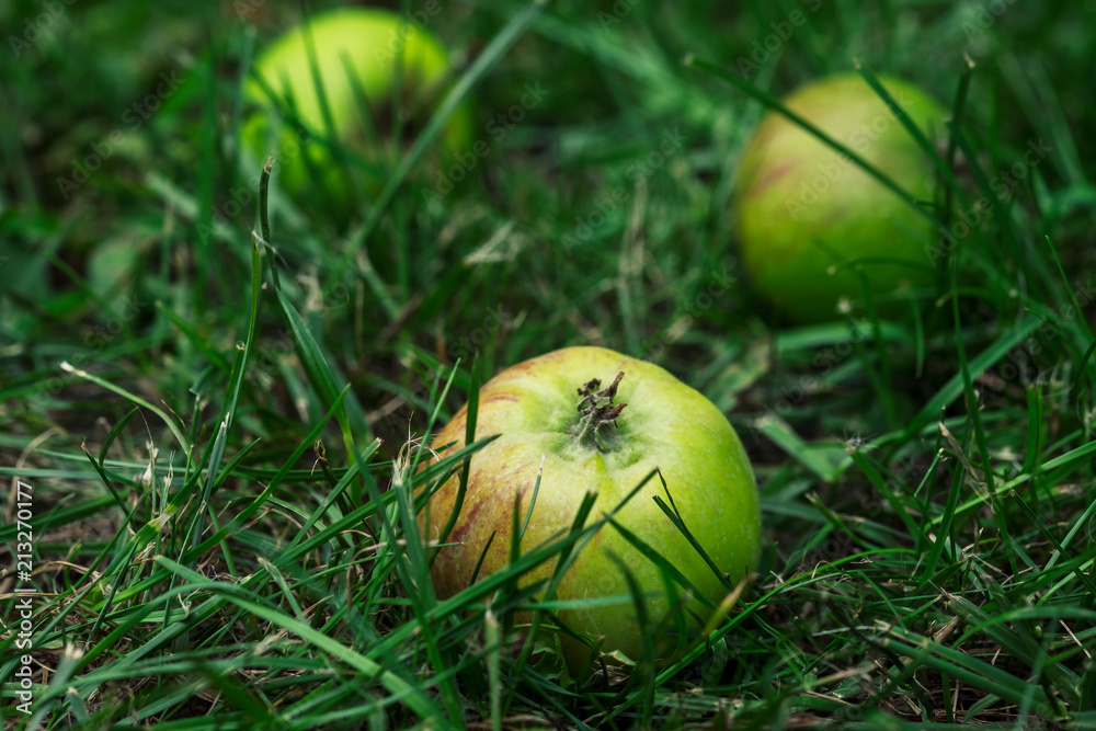 Äpfel Äpfel