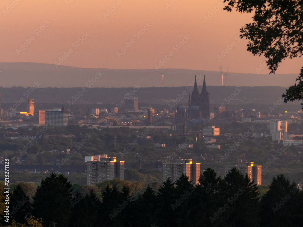 Naklejka premium Köln im Abendlicht