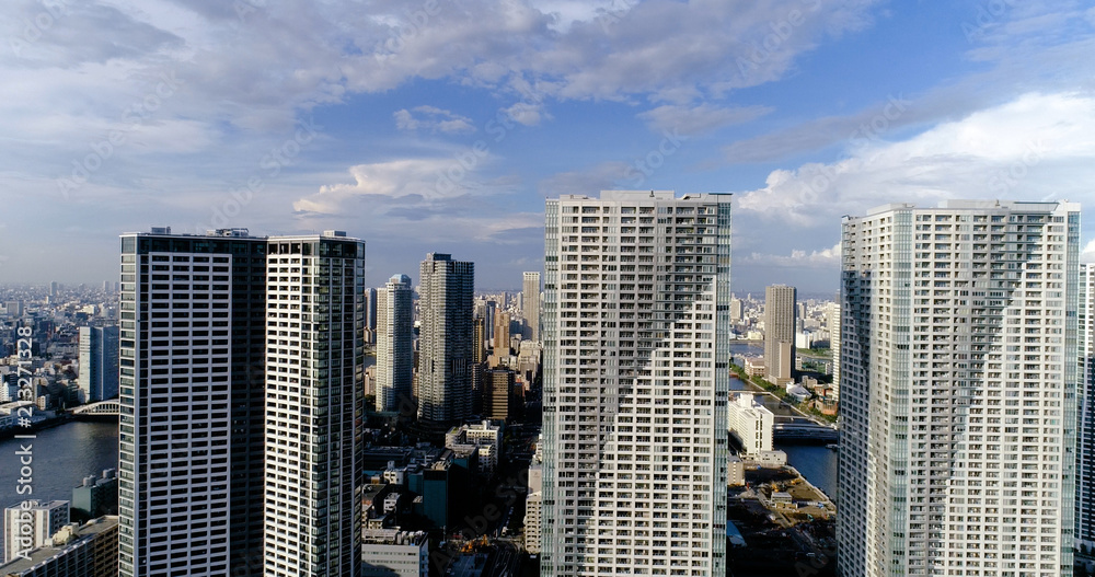 Obraz premium tokyo bay in aerial view