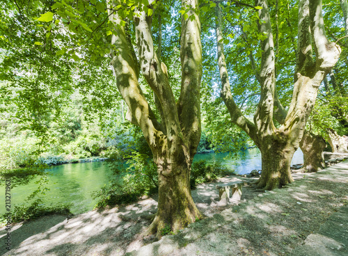 The romantic river Sorgue in Fontaine de Vaucluse. Vaucluse, Provence, France, Europe photo