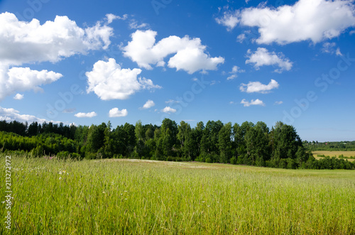 Summer landscape with the field of green grass, blue sky and clouds
