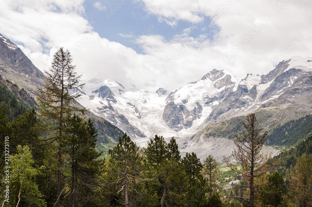 Bernina, Piz Bernina, Val Bernina, Morteratsch, Gletscher, Gletscherweg, Gletscherrückgang, Berninapass, Alpen, Graubünden, Sommer, Schweiz