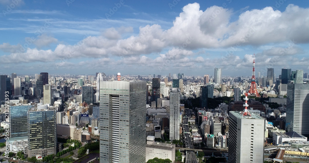 Fototapeta premium tokyo bay in aerial view