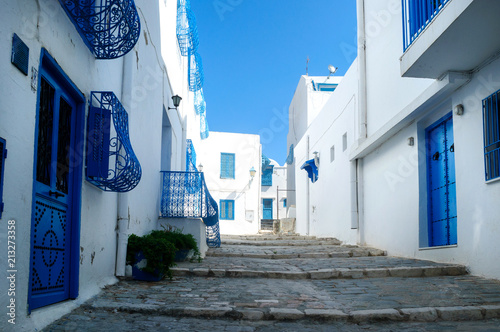 Blue and white architecture of streets Sidi bou Said. © delobol