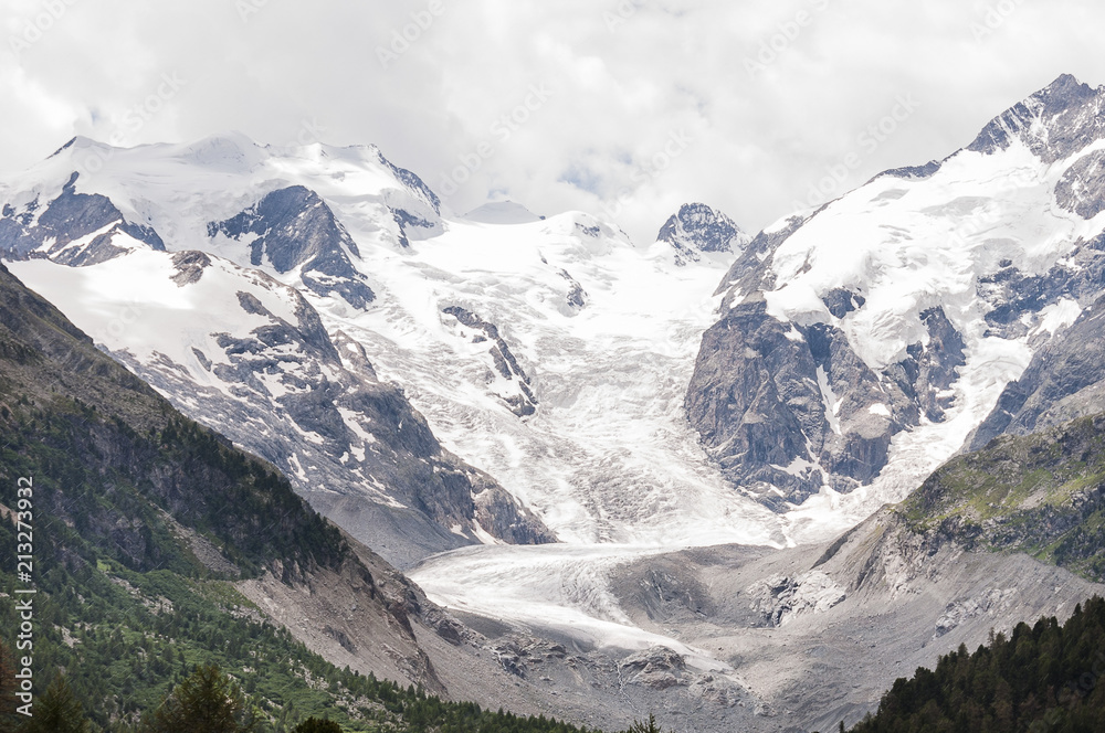 Bernina, Morteratsch, Gletscher, Piz Bernina, Berninatal, Berninapass, Gletscherweg, Gletschergarten, Engadin, Alpen, Graubünden, Sommer, Schweiz