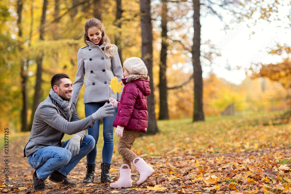 family, season and people concept - happy mother, father and little daughter with maple leaf at autumn park family, season and people concept - happy mother, father and little daughter with maple leaf at autumn park