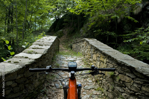 handlebar and screen of electric bicycle, e-bike, ebike, on a dirt road with an old stone bridge, in a forest, during summer, mountain, sports, adventure, freedom, Alps, Macugnaga, Piedmont, Italy