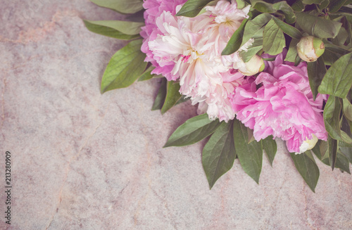 Delicate pink and white peonies lie on a marble table photo