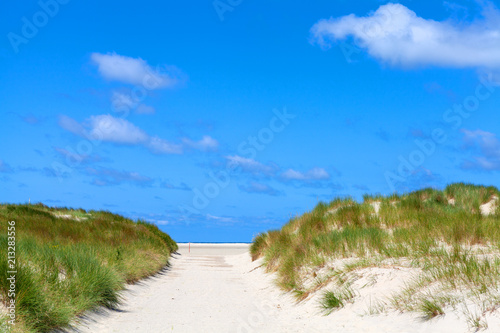 Dunes on the north sea