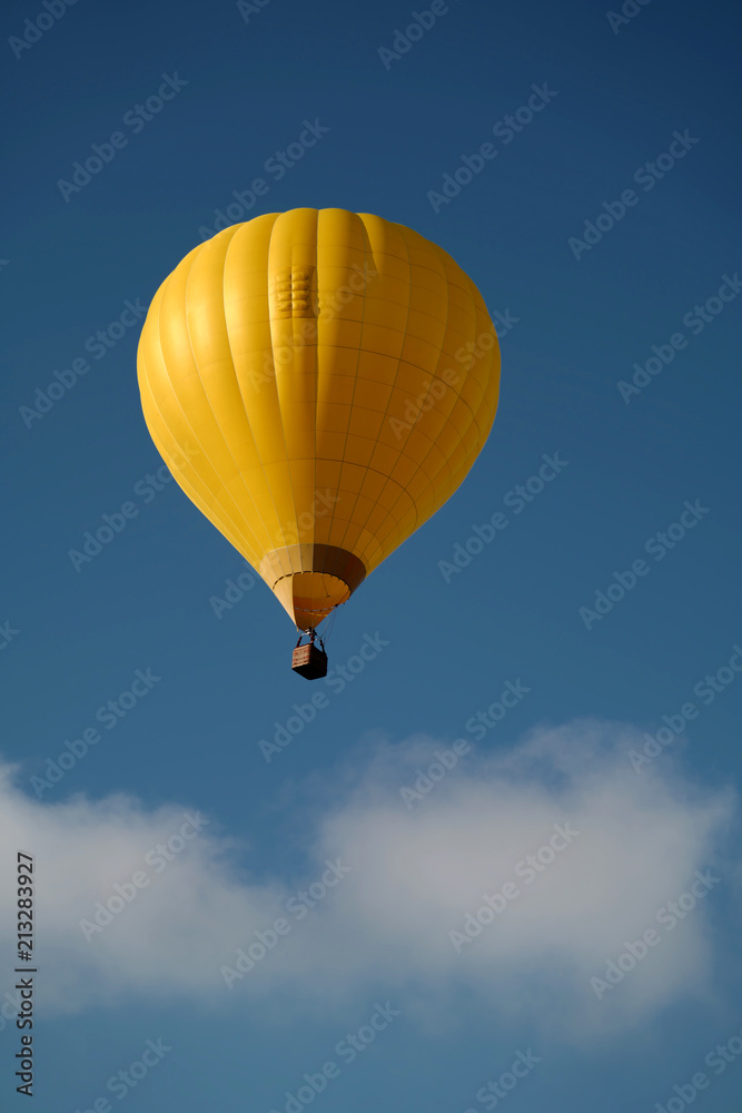 Naklejka premium Hot air balloon