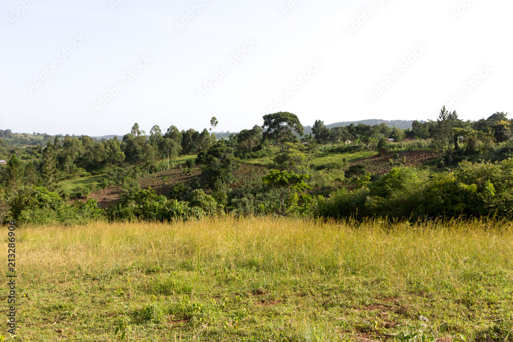 A rural landscape. Shot somewhere off Buikwe, Uganda in June 2017.