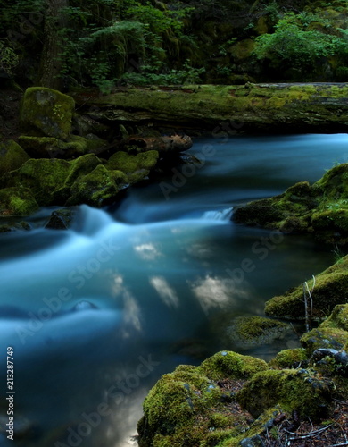 A small creek runs through the lush green forests of Southern Oregon 