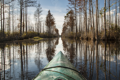 Kayaking in bayou photo
