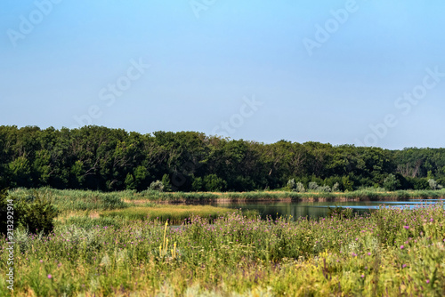 Beautiful summer landscape with river and trees