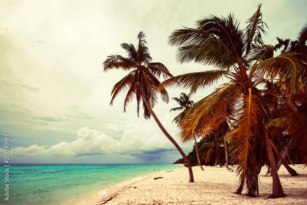 Obraz premium Ocean and tropical coastline in Dominican Republic