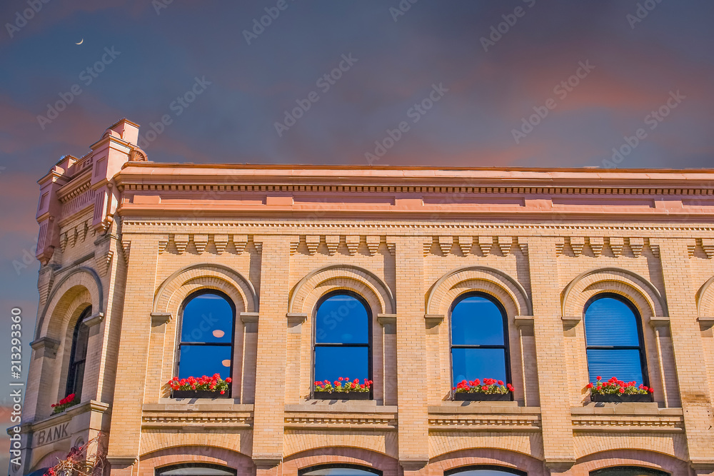 Obraz premium Old Bank Flowers
