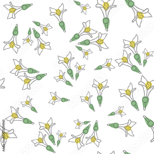 Seamless pattern with fresh woodruff flowers. Good for backdrop, textile, wrapping paper, wall posters. Vector continuous line drawing.