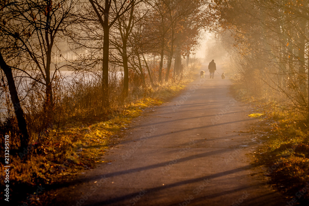 Obraz premium Old Man Walking with Dogs