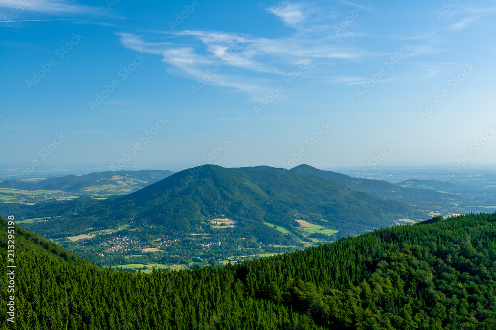 Obraz premium Wide View from Forest