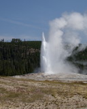 Old Faithful in Yellowstone National Park nears about three quarters of its full eruption height on a sunny summer morning.