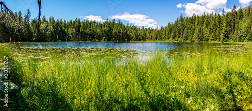 A panoramic image of Johns Lake which is next to John Lake Loop Trail in Glacier National Park.