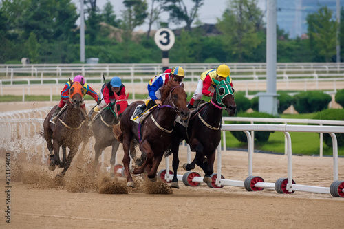 Gwacheon Racing Park, running horse