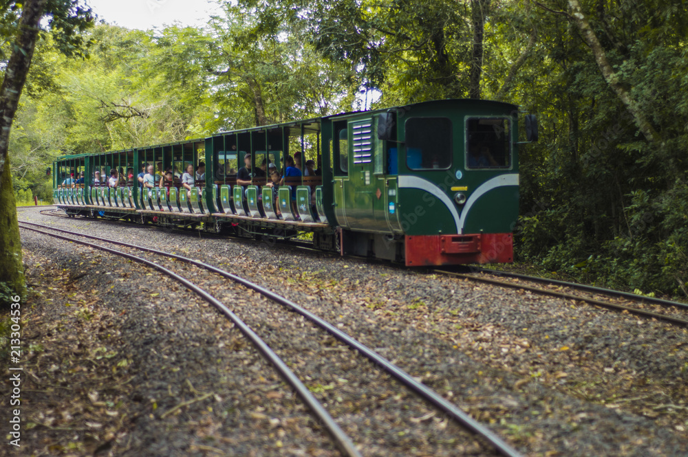 Fototapeta premium Tren 2