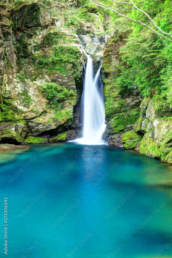 Obraz premium にこ淵