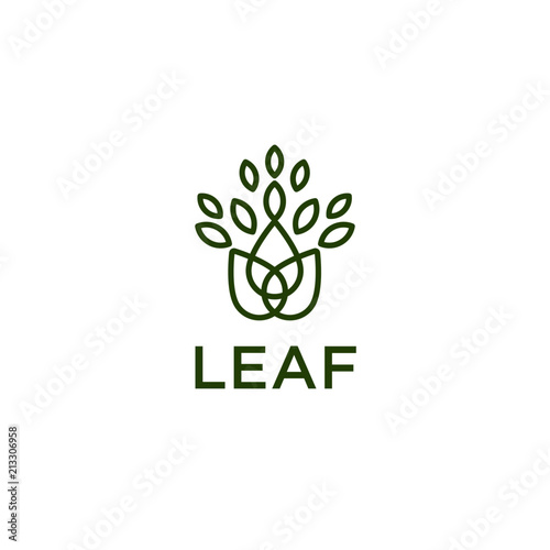 Leaf Logo (ID: 213306958)