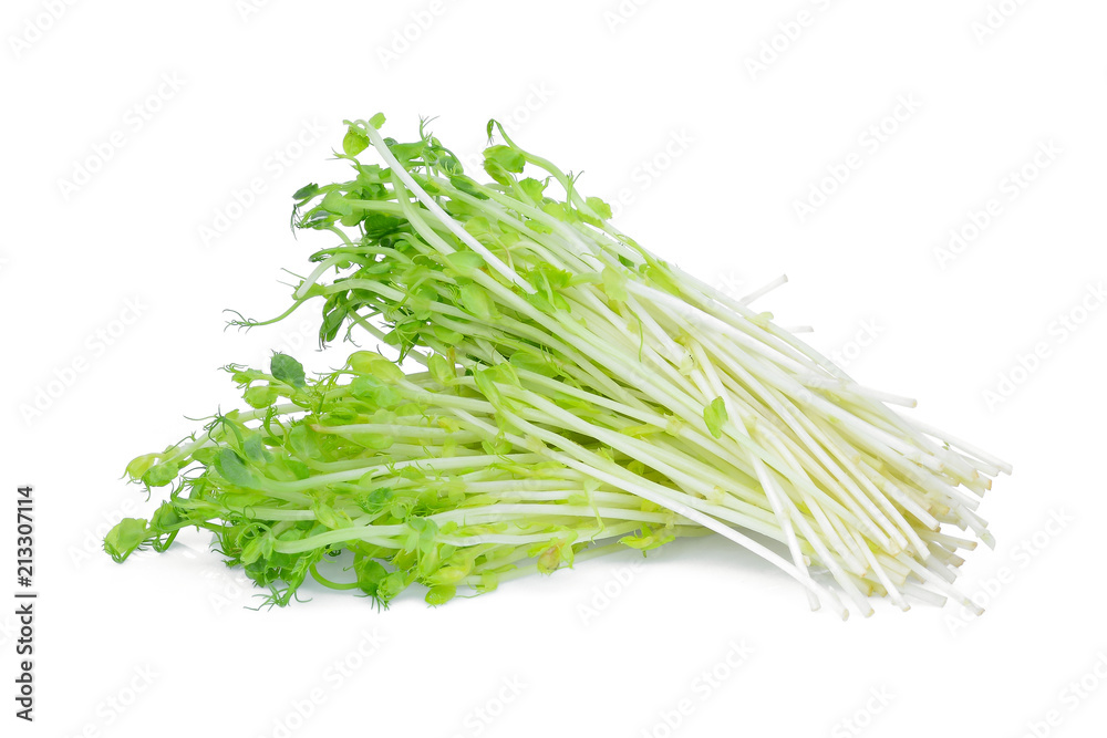 green snow pea sprouts isolated on white background green snow pea sprouts isolated on white background