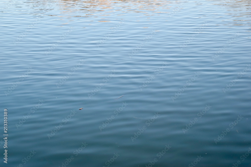 Golden leaves reflecting on blue water Golden leaves reflecting on blue water