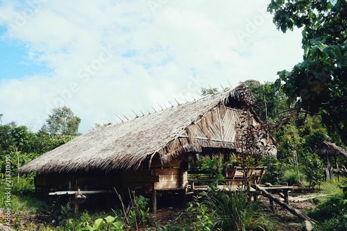 Fototapeta Naklejka Na Ścianę i Meble -  Muara Siberut, Mentawai Islands / Indonesia - Aug 15 2017: tribal jungle home