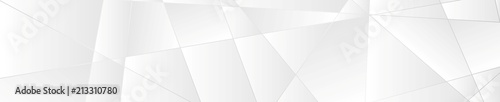 Silver white abstract polygonal tech banner