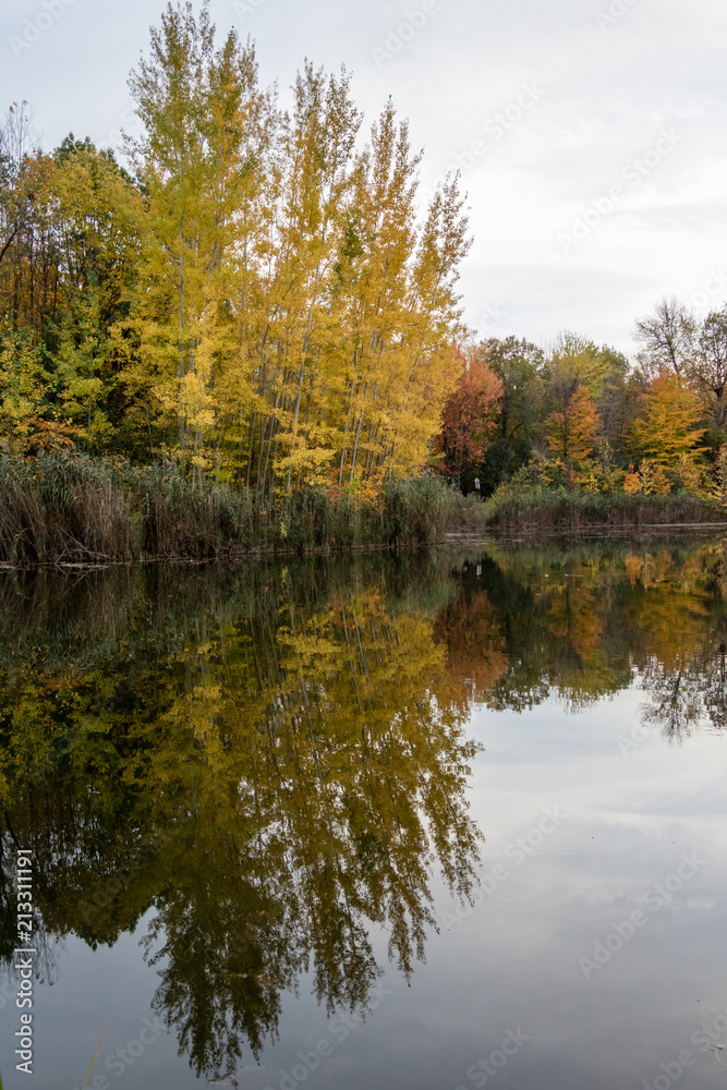 Fall in the Anfrignon Park in Montreal, Canada. 