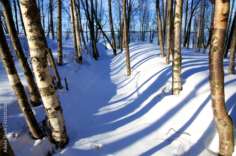 Obraz premium Walking in Alaska