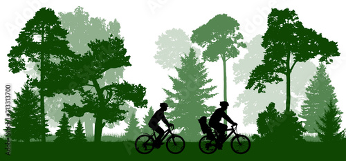 Family (man, woman and child) rides the bicycles in the park (forest). Silhouette, vector.