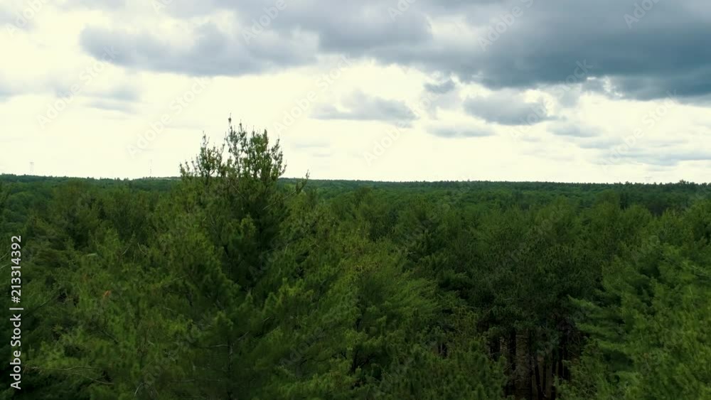 Slow ramp over the tree tops.